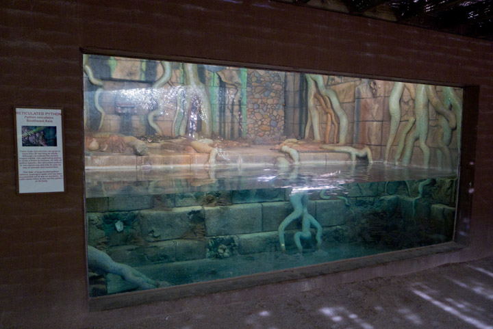 python exhibit underwater viewing