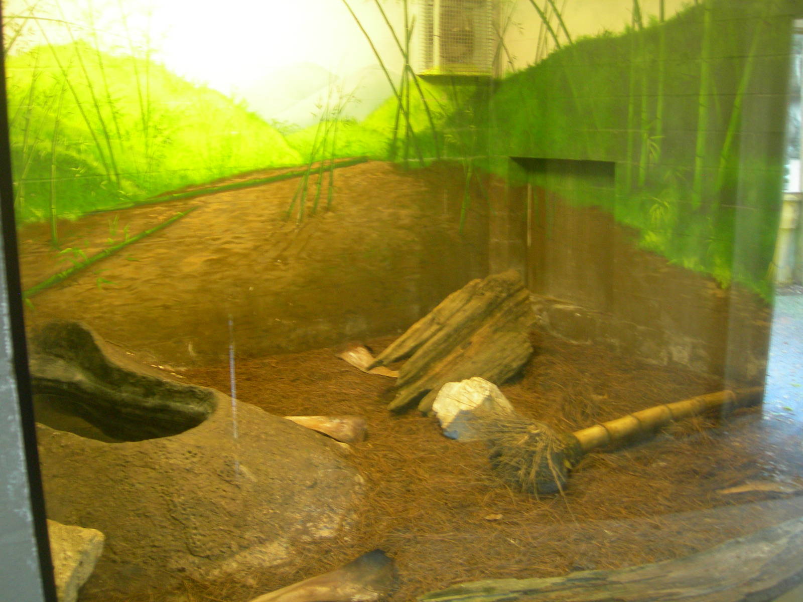 Python Exhibit