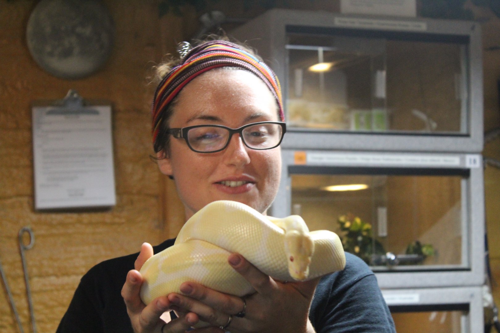 Python Handiling - Mccarthy Wildlife Sanctuary