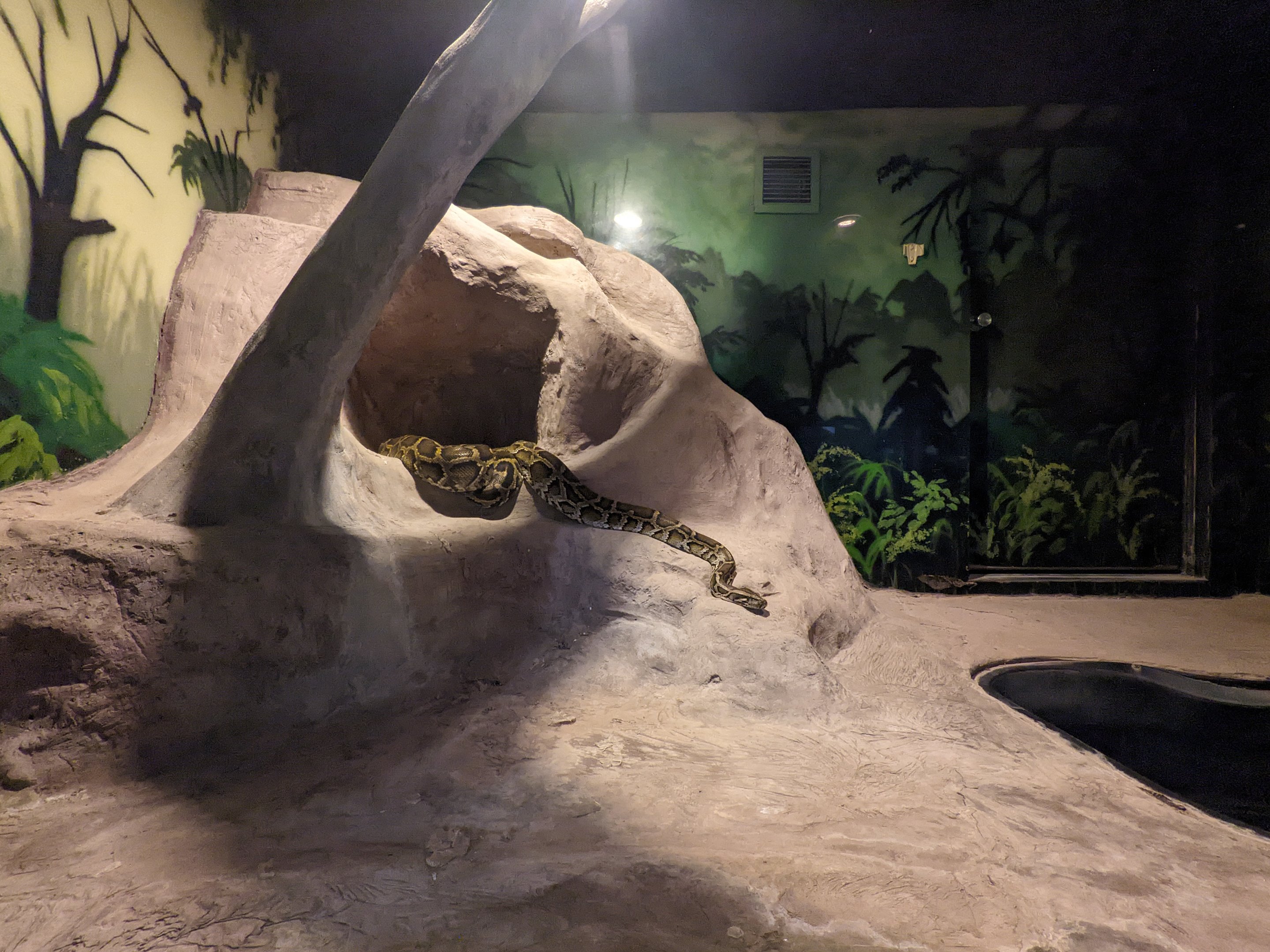 Python in the "Snake Pit"