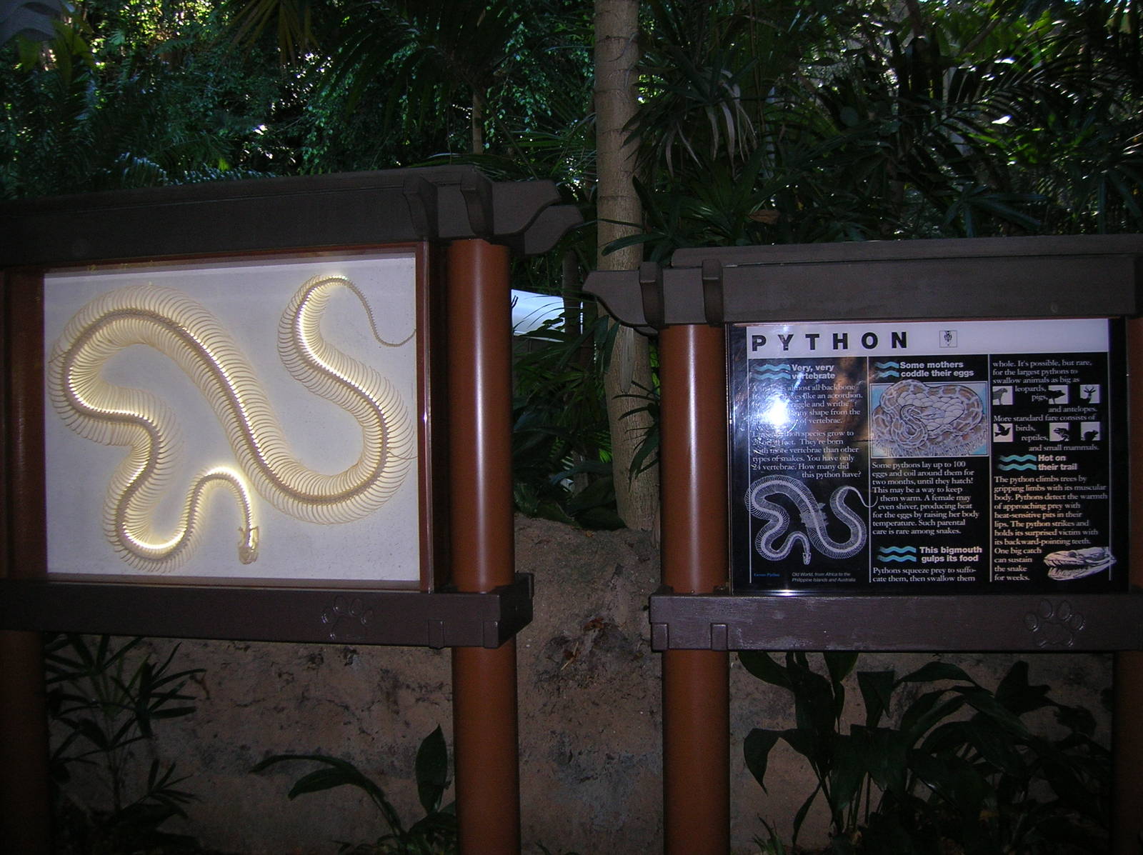 Python Info Boards 1-12-09