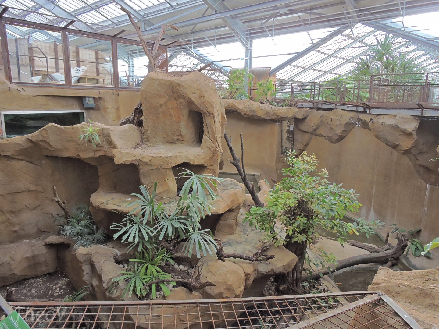 Python Island [2016]