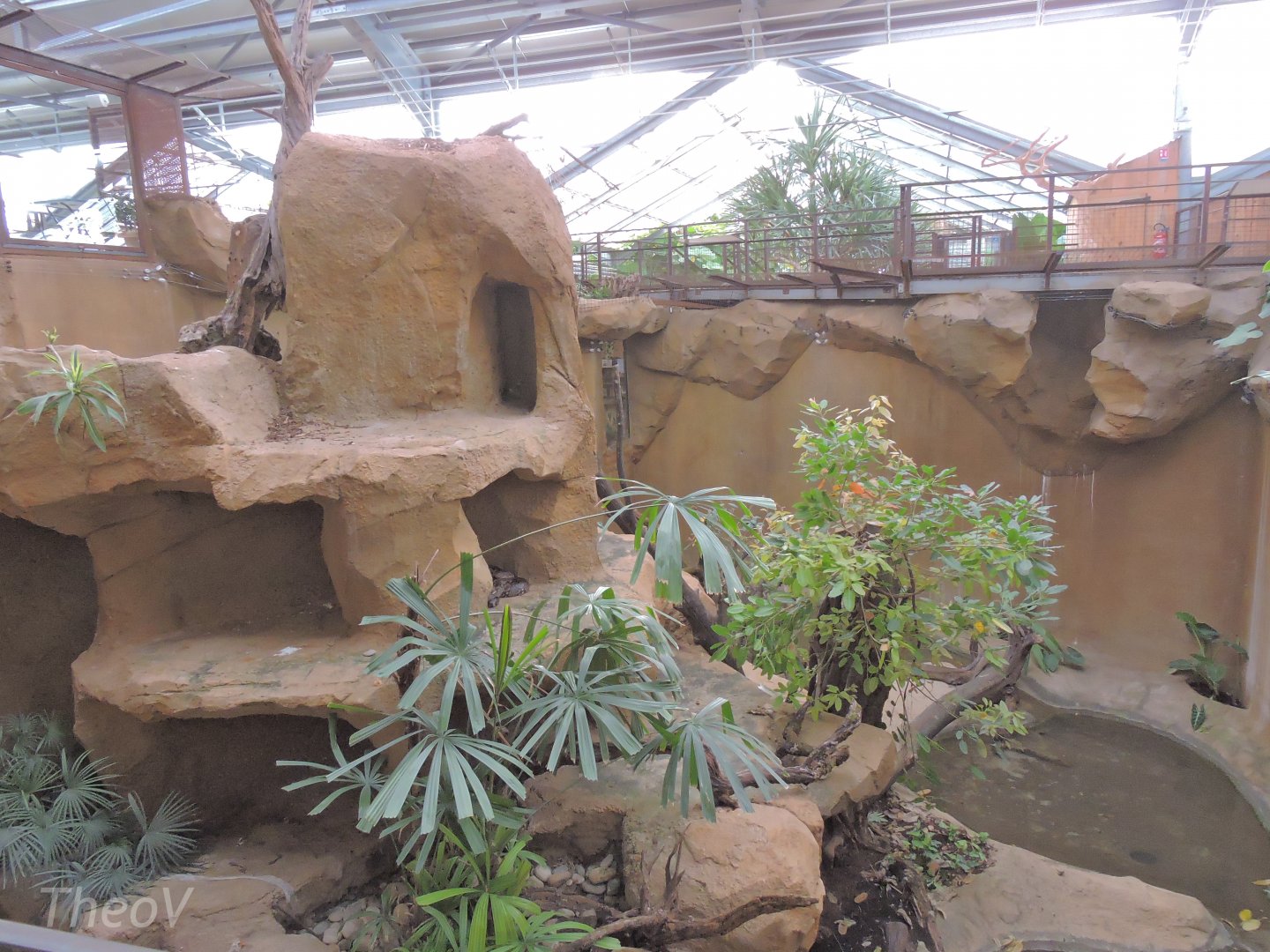 Python Island [2016]