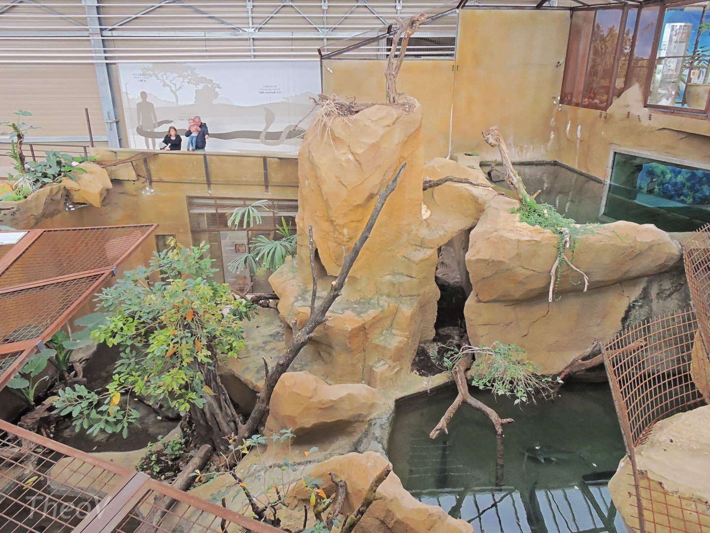 Python Island [2016]