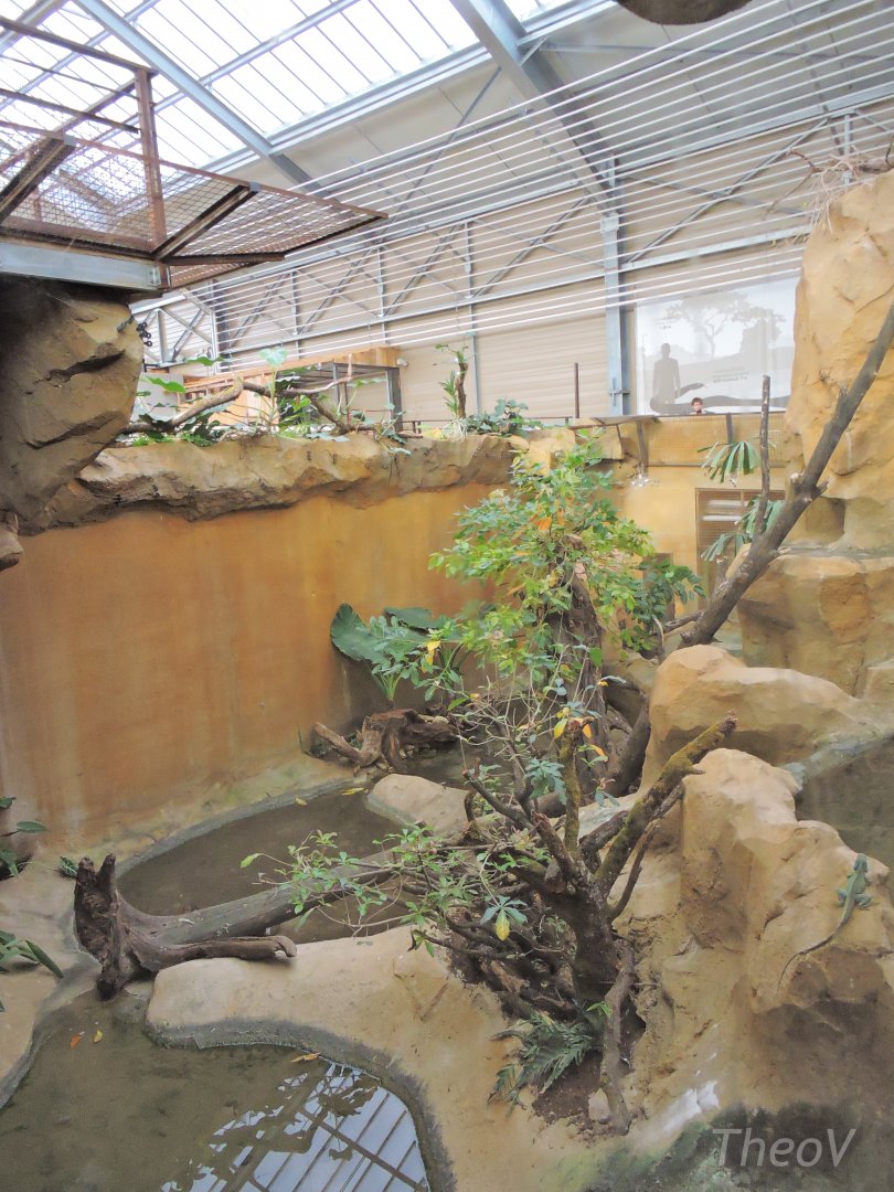 Python Island [2016]