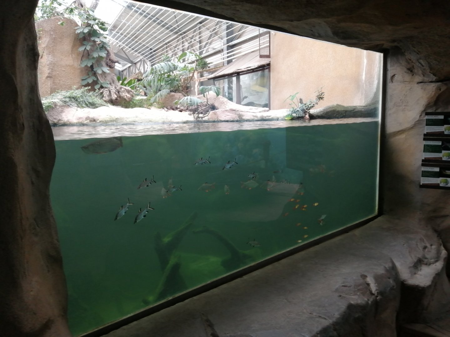 Python Island : Asian Fisch Pond