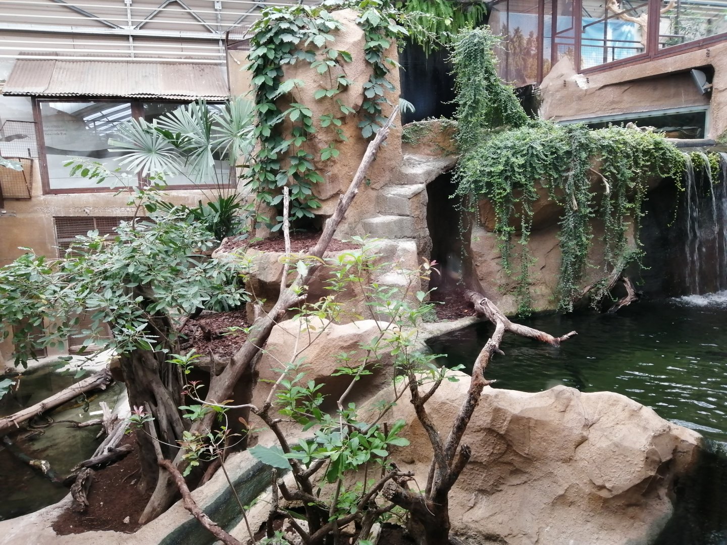 Python Island : Reticulated Pythons exhibit