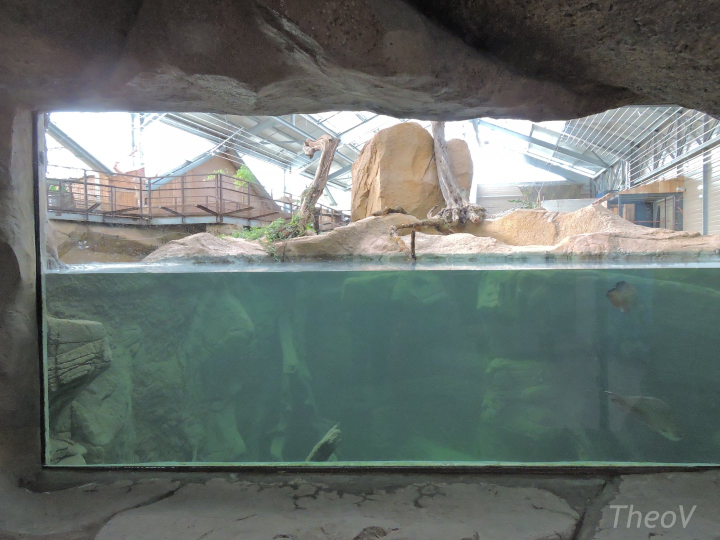 Python Island tank [2016]