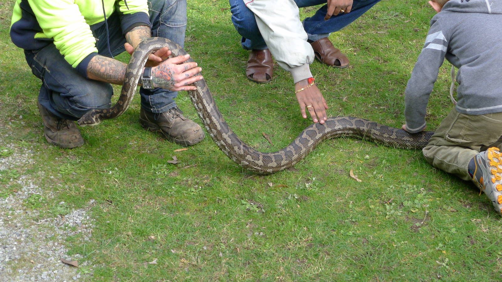 Python talk and demonstration