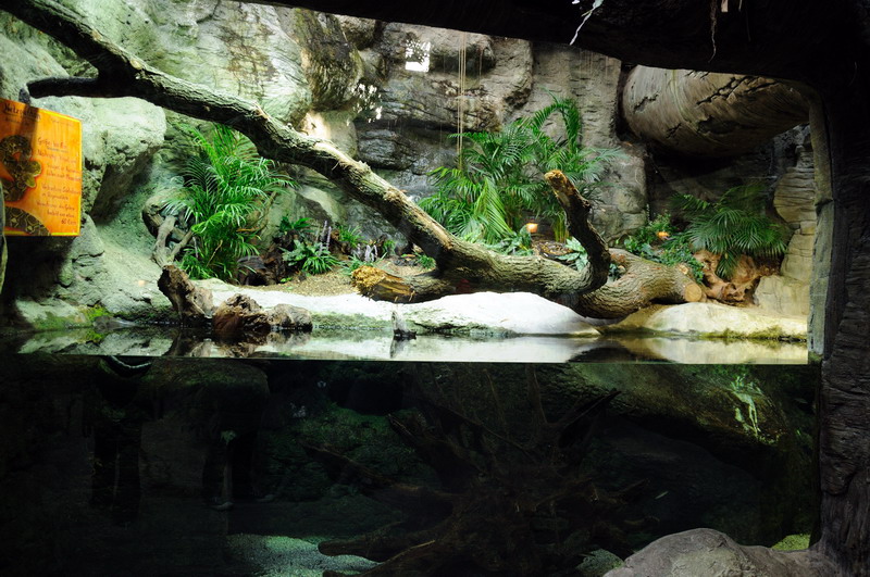 Pythonenclosure at Hamburg