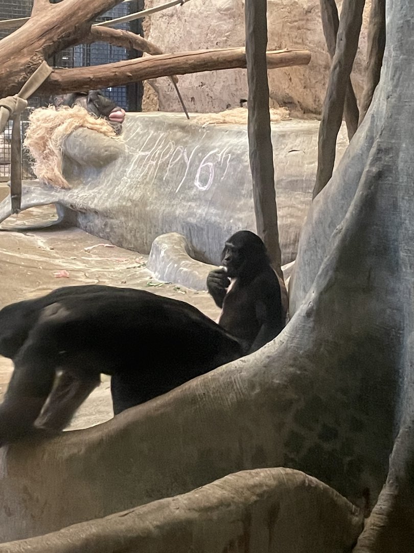 Qasai and Claudine (5/23/22)