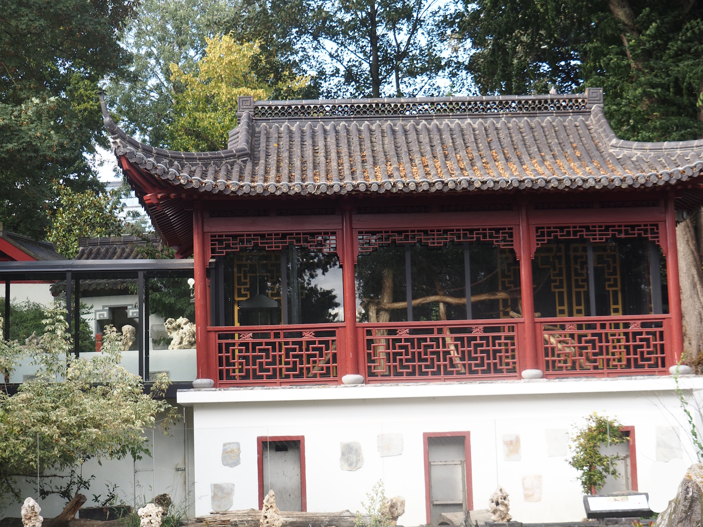 Qinling golden snub-nosed monkey building, 2025-09-01