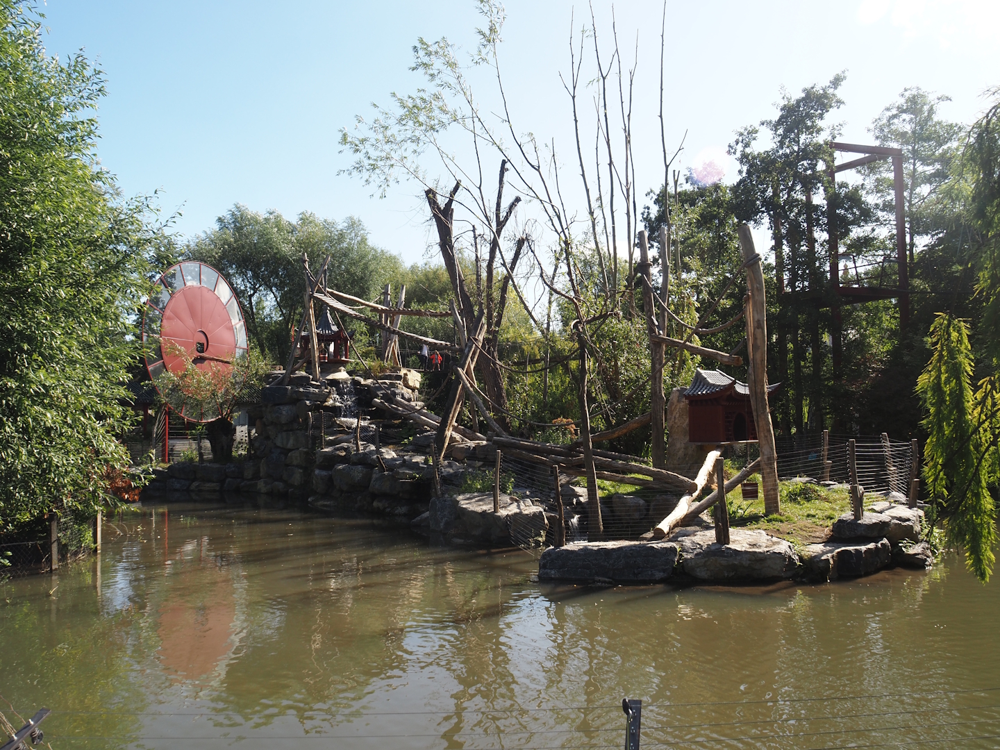 Qinling golden snub-nosed monkey island, 2025-09-01