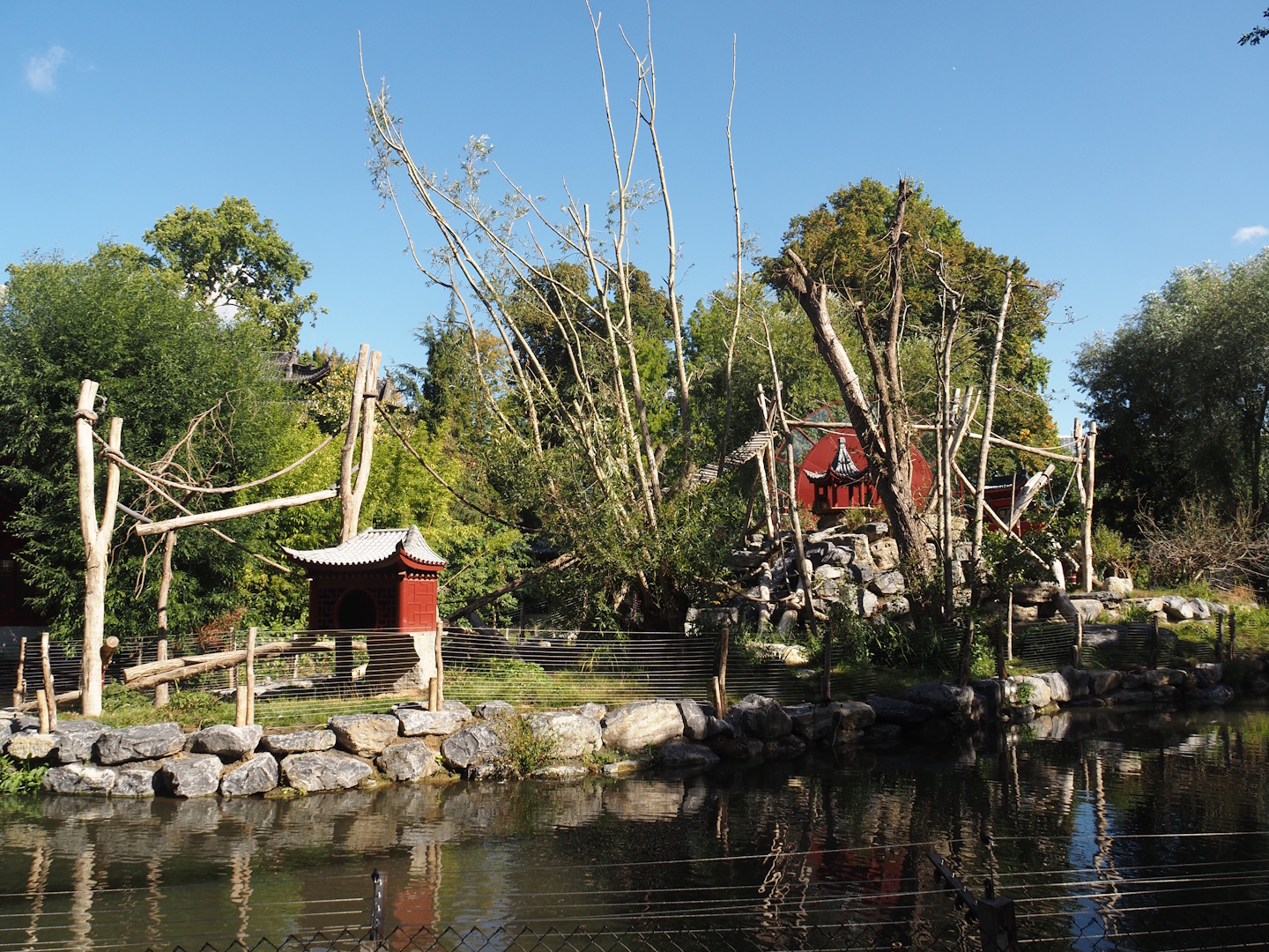 Qinling golden snub-nosed monkey island, 2025-09-01
