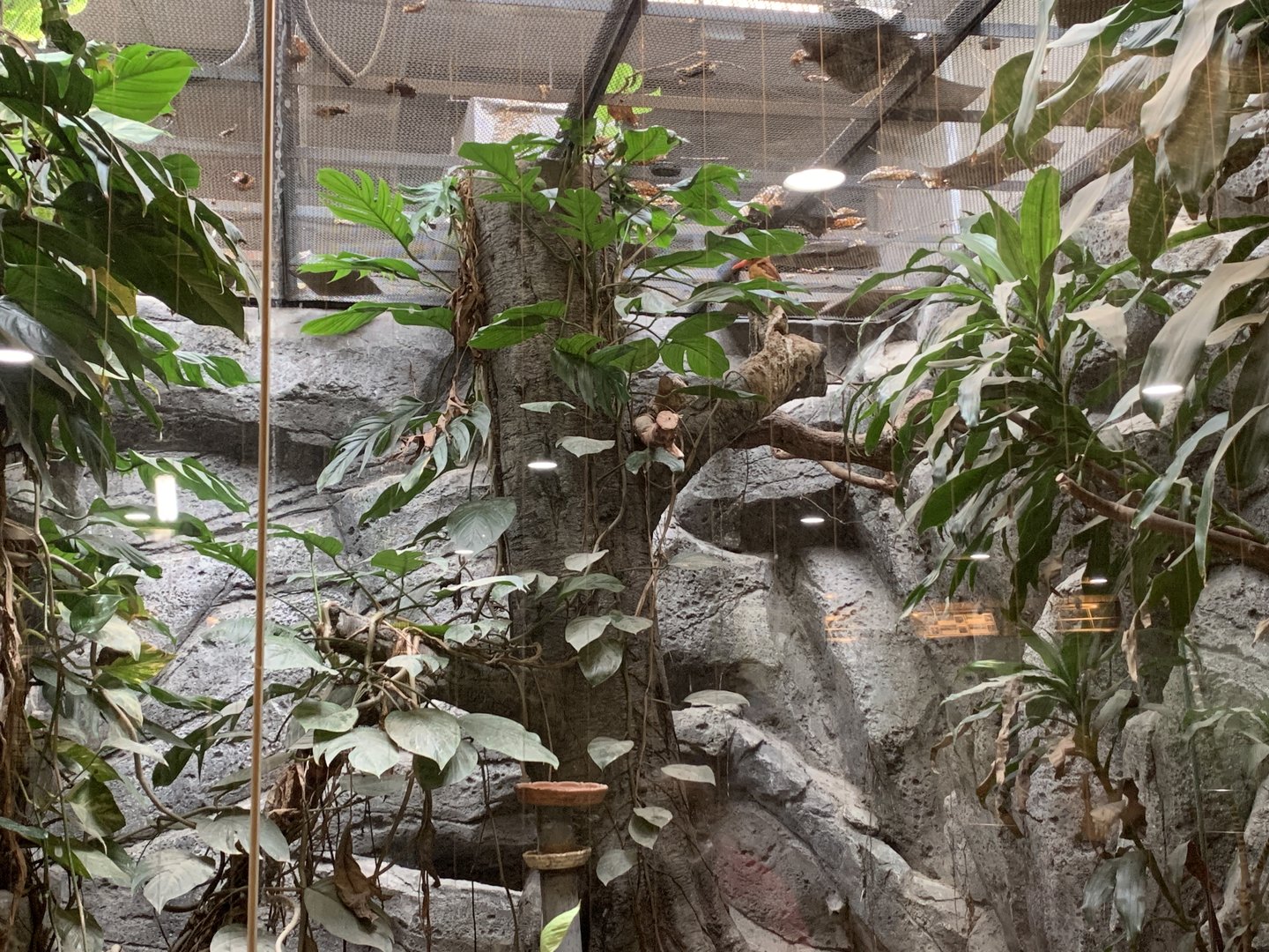 Quail and Kingfisher Exhibit