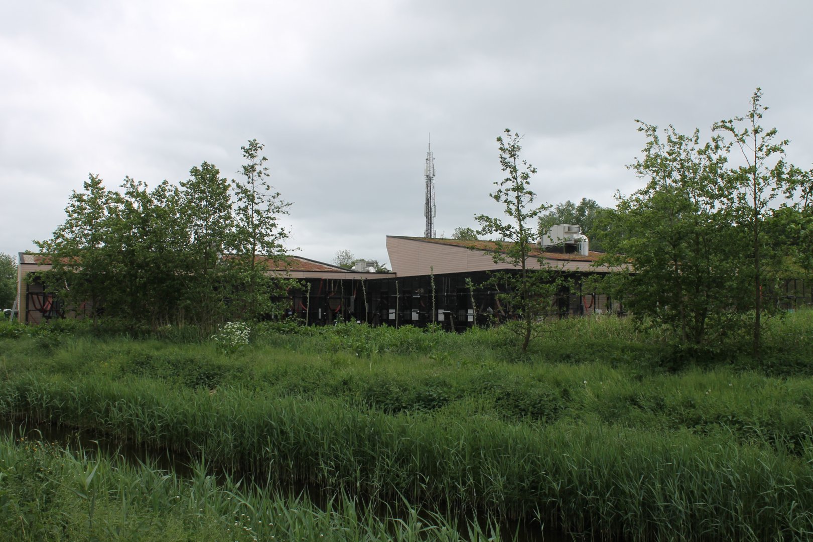 Quarantaine-monkey Building