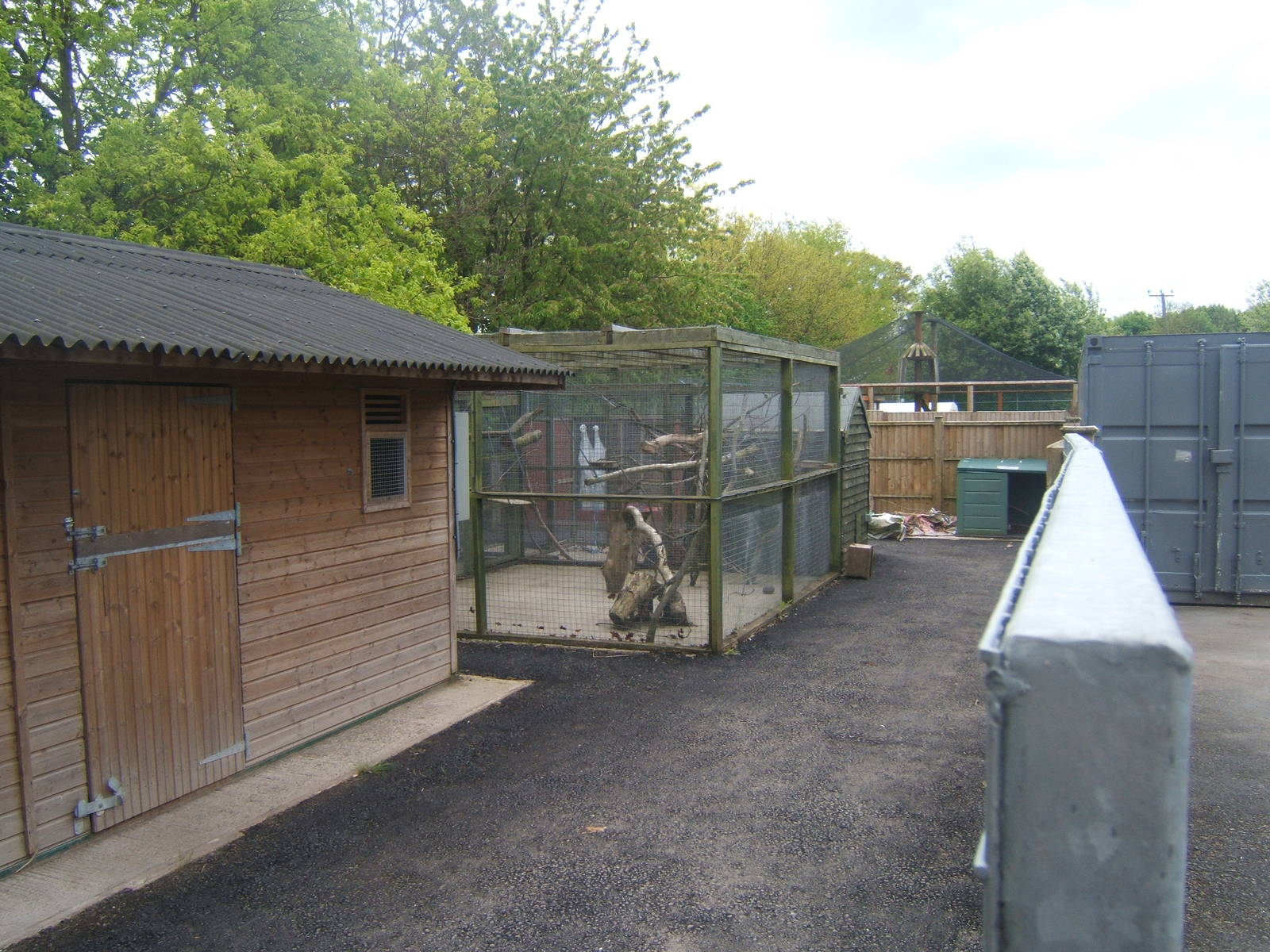 Quarantine Cage currently empty