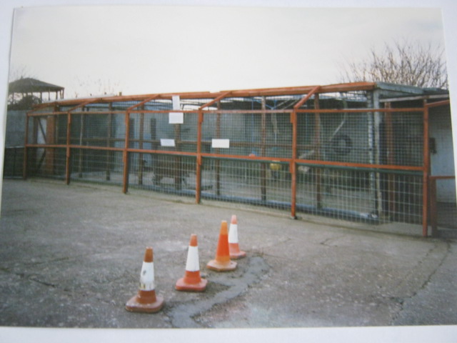 Quarantine cages -housing female jaguar 1998.