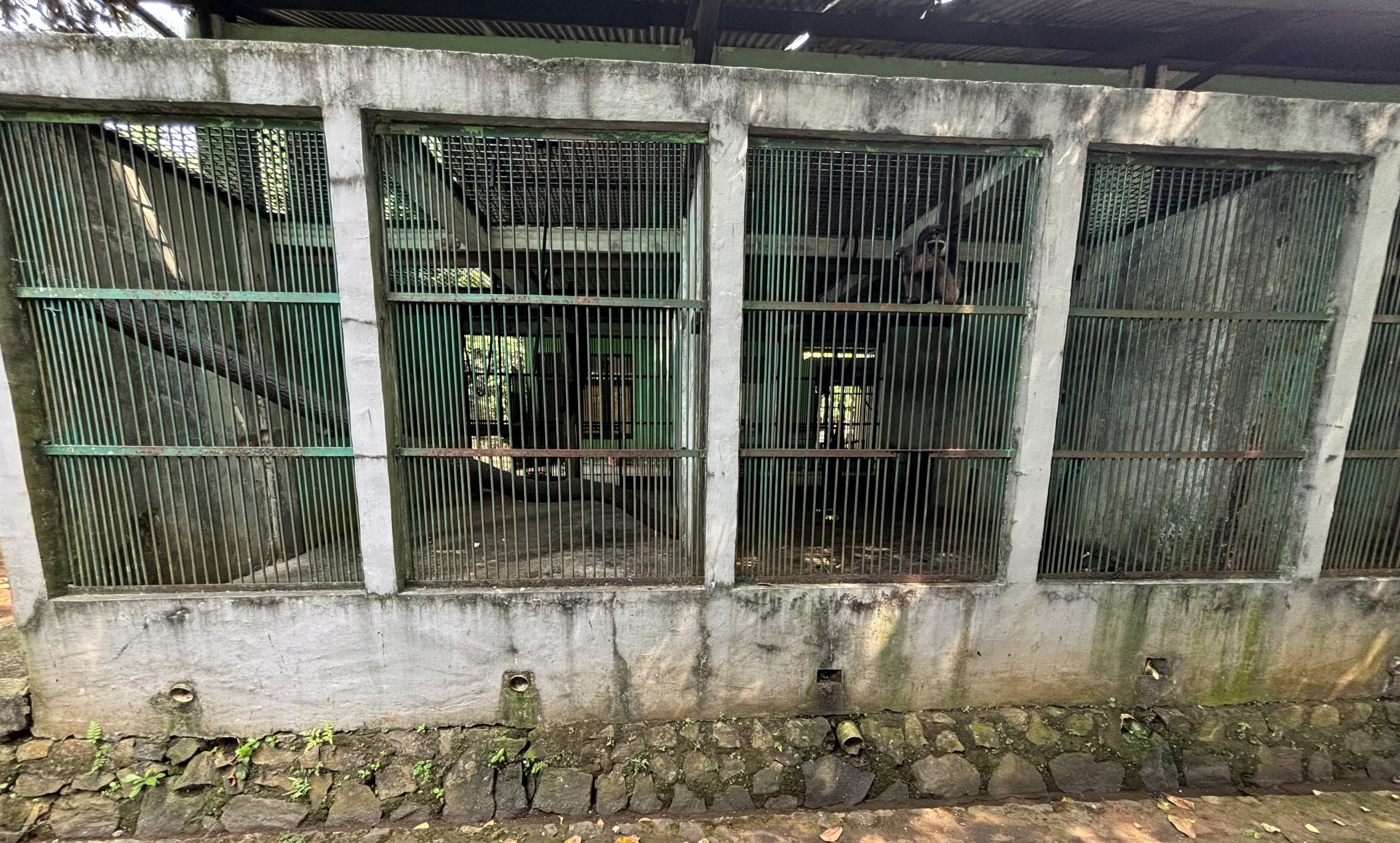 Quarantine Cages