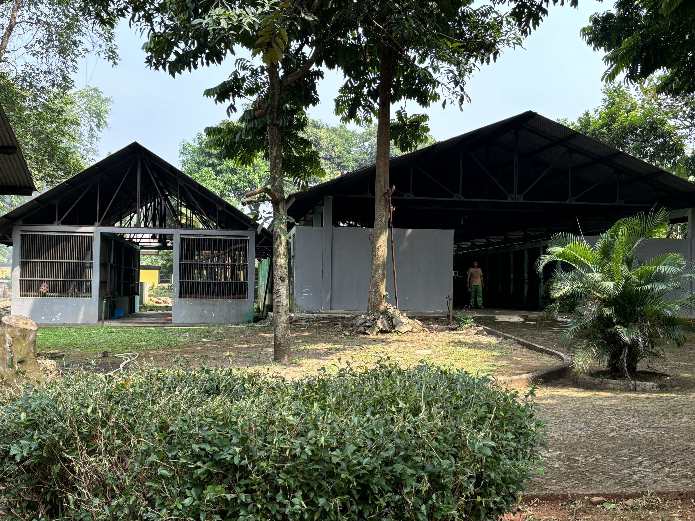 Quarantine Complex - loads of primates!