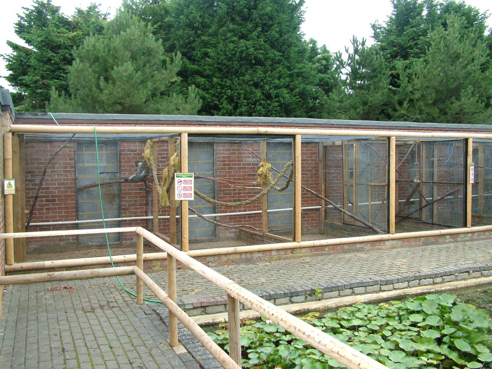 Quarantine exhibits at Wingham WP, 31/07/10