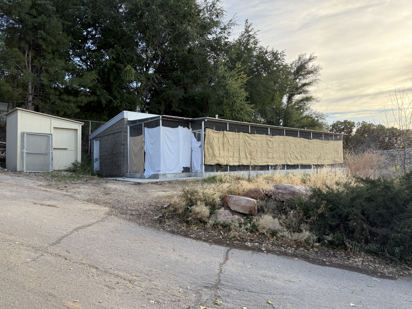 Quarantine/Former Cheetah Holding