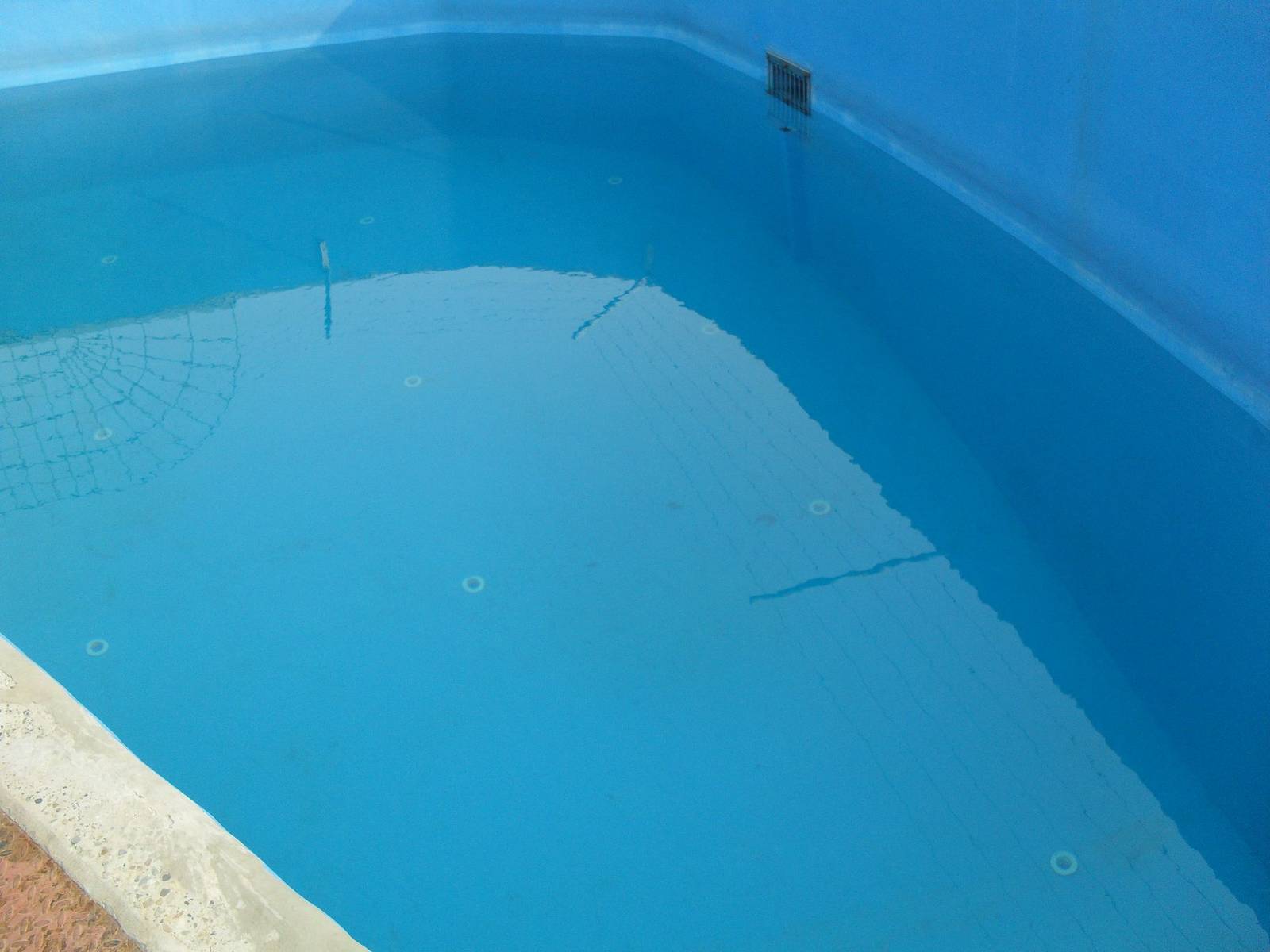 Quarantine pool for pinnipeds