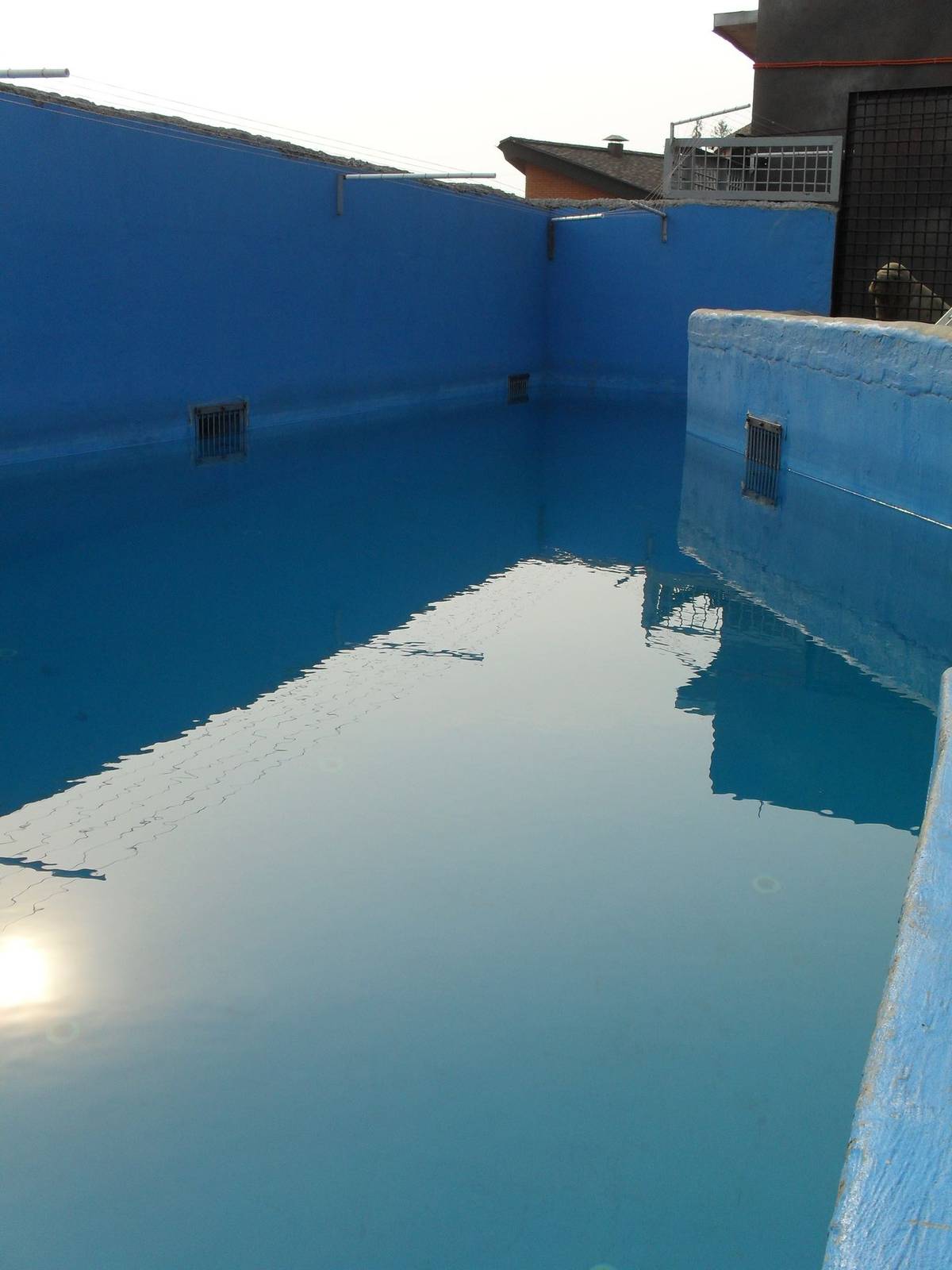 Quarantine pool for pinnipeds