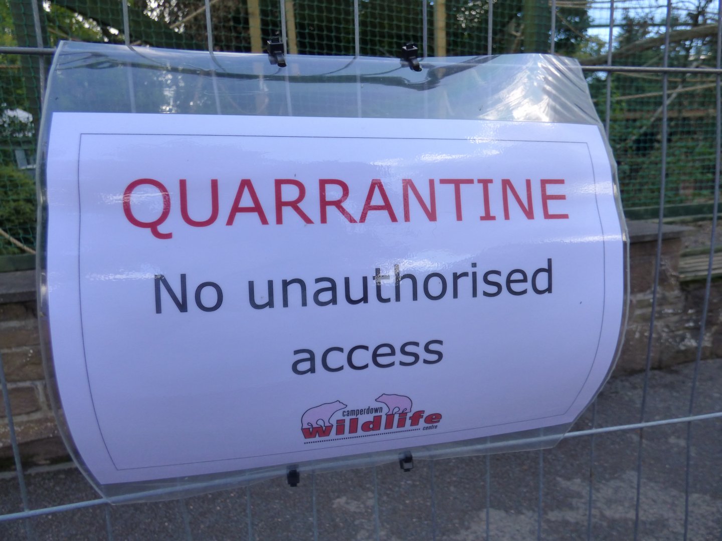 Quarantine signage around Lar Gibbon enclosure