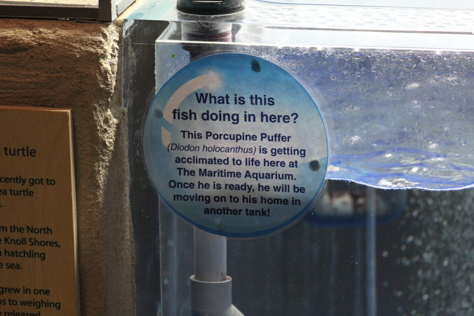 Quarantine Tank Sign