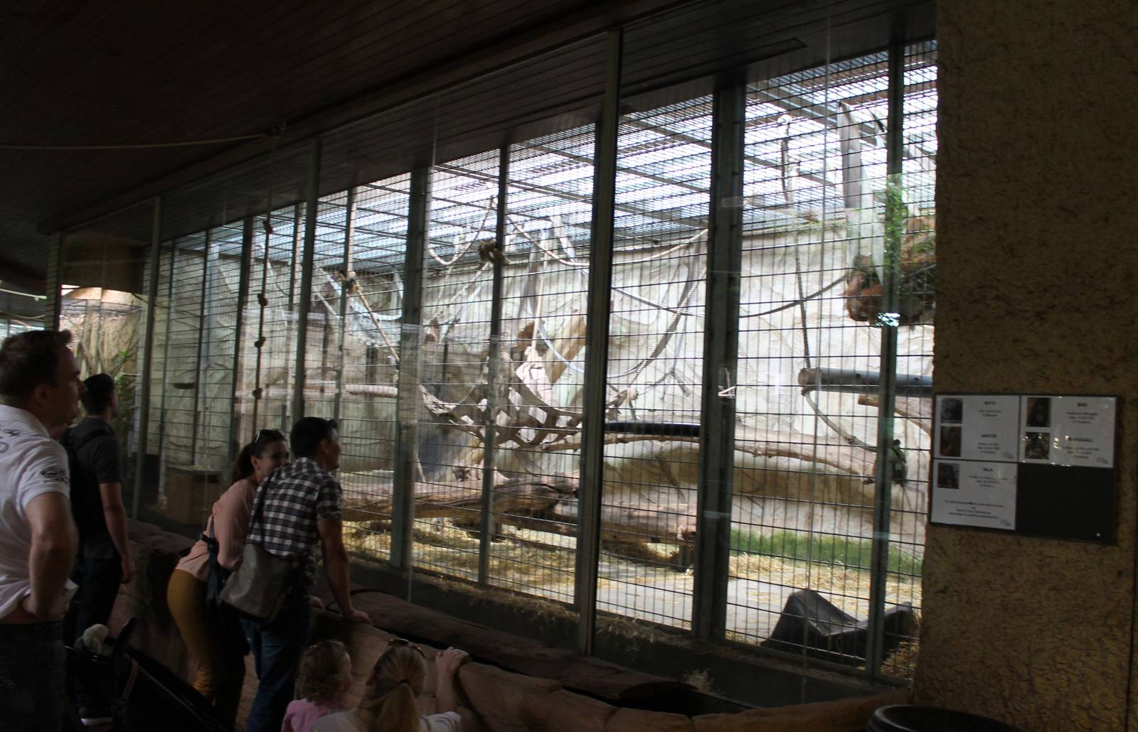 ?quatorium : Borneo orang utan indoor-enclosure