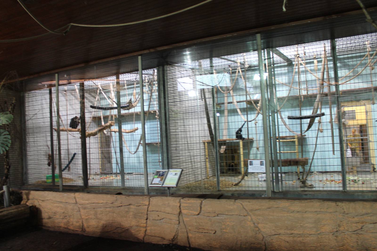 ?quatorium : Gibbon enclosures