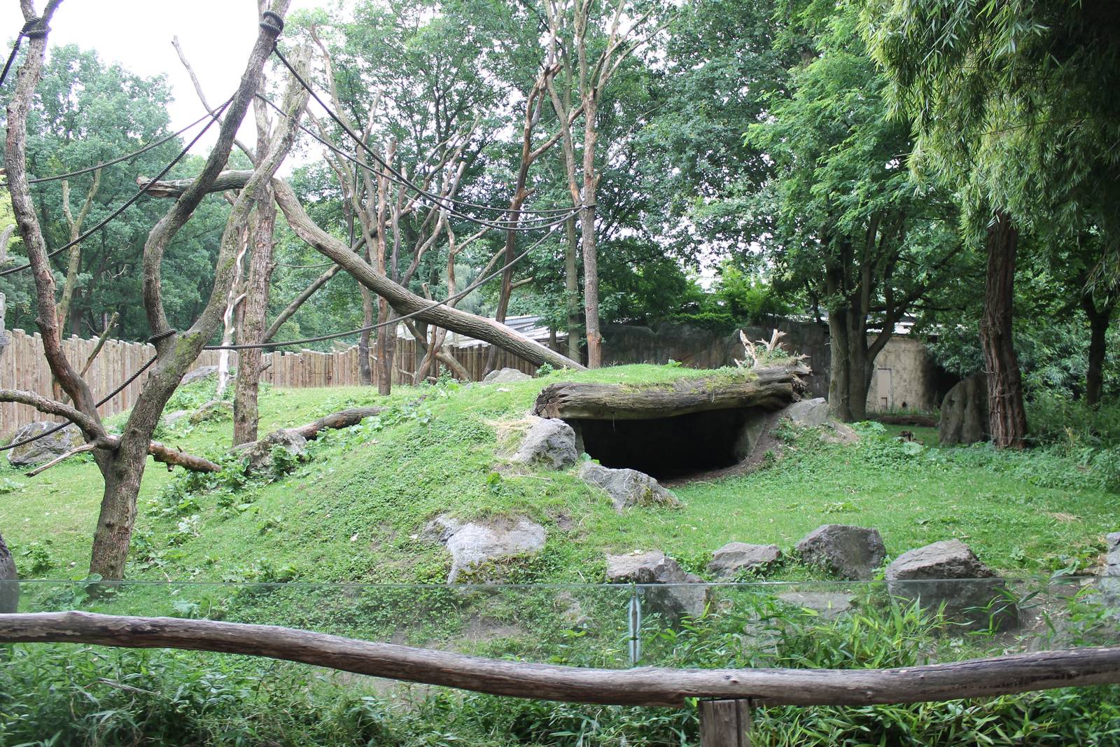 ?quatorium : Gorilla outdoor enclosure