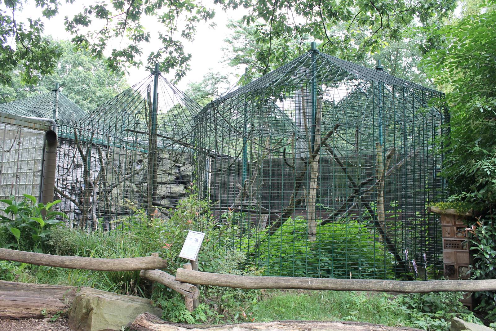 ?quatorium : Lion-tailed macaque outdoor enclosure