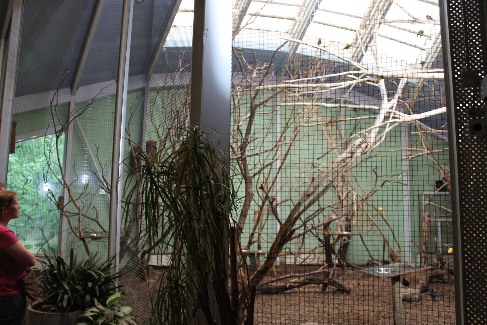 ?quatorium : Lorikeet aviary