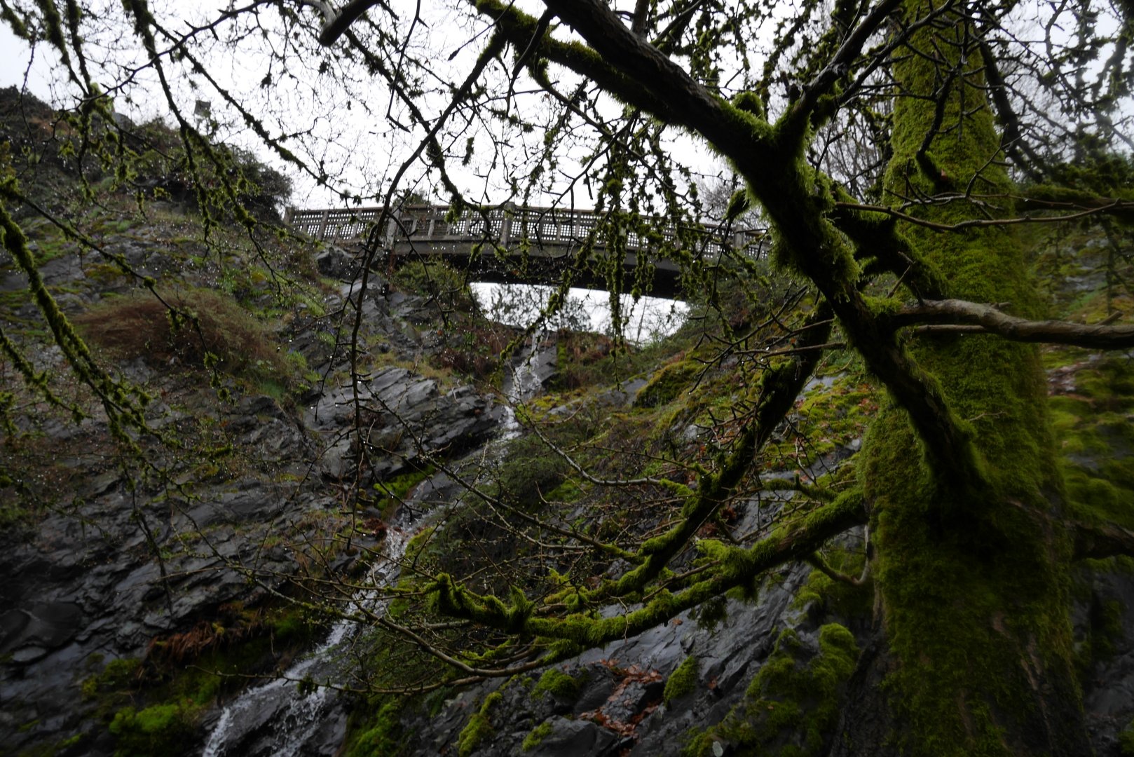 Queen Elizabeth Park Waterfall- My First US Zoo Trip