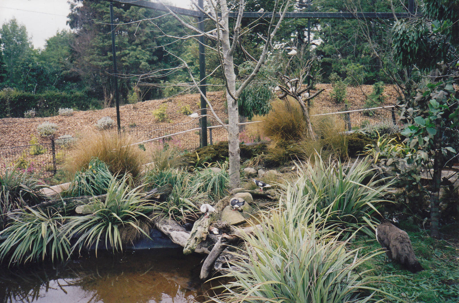 Queens Park aviaries, Invercargill