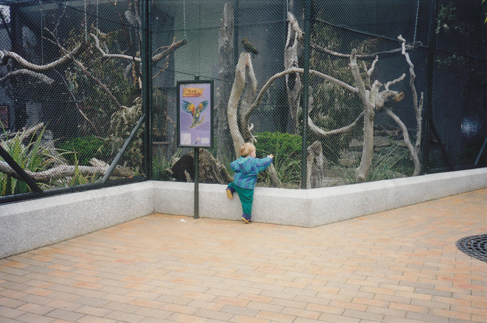 Queens Park aviaries, Invercargill