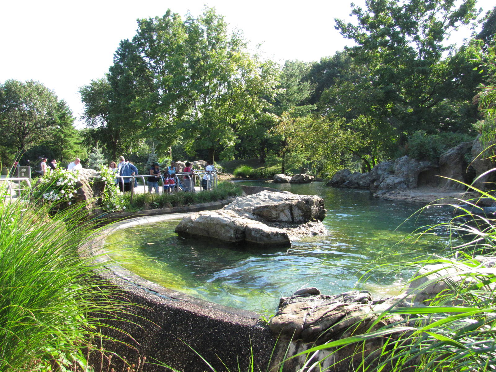 Queens Zoo 2010 - End to end view of Sea Lion Pool