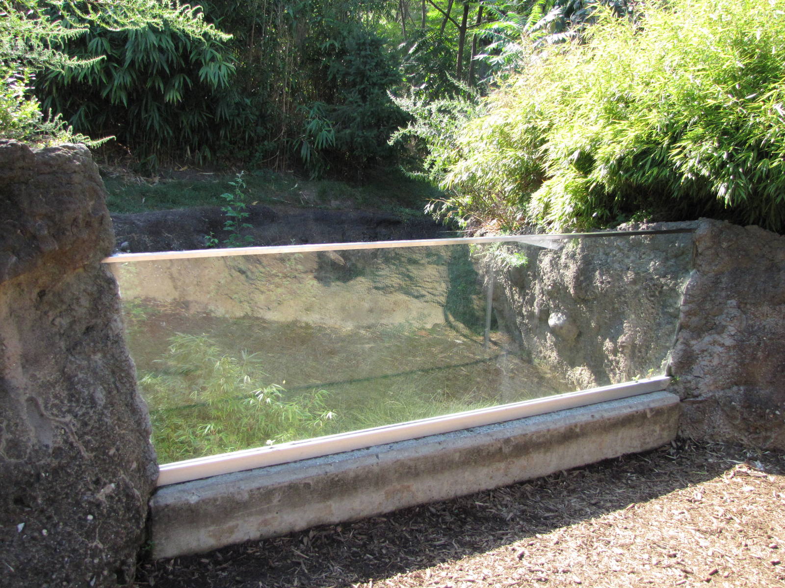 Queens Zoo 2010 - Front of Southern Pudu exhibit
