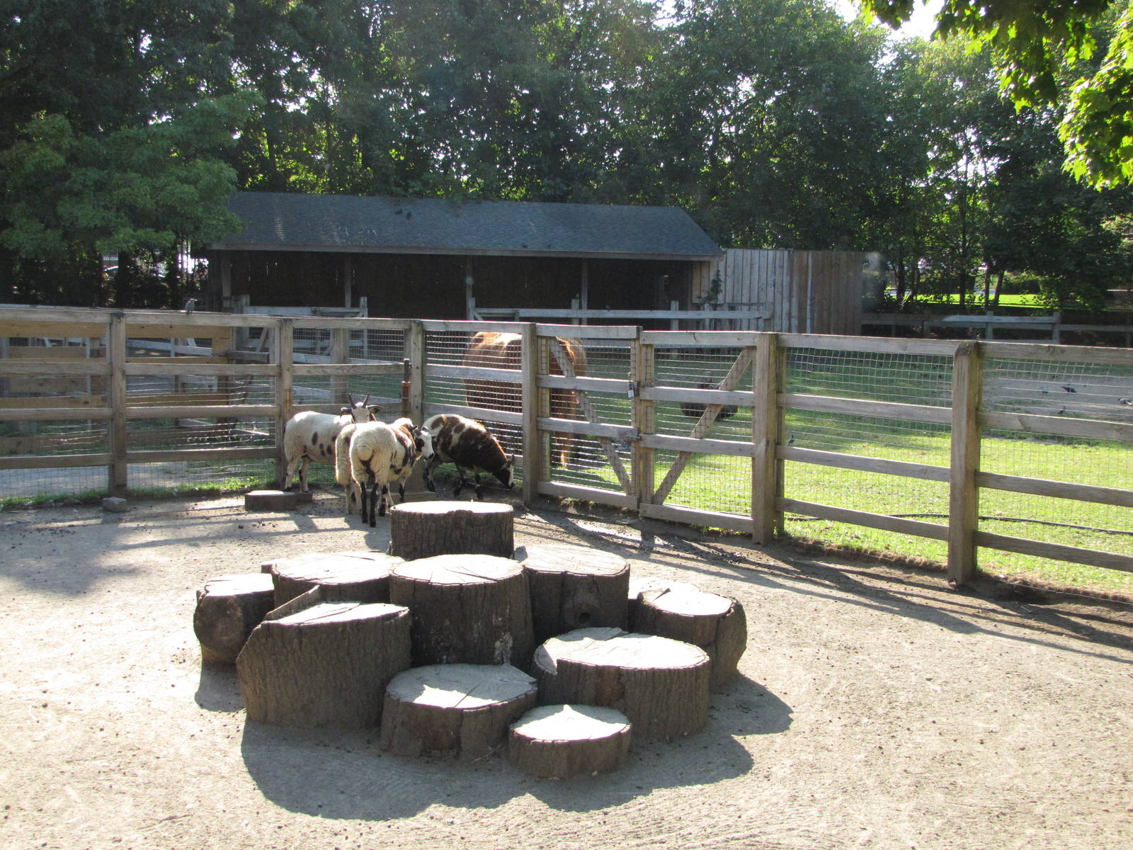 Queens Zoo 2010 - General view in Childrens Zoo