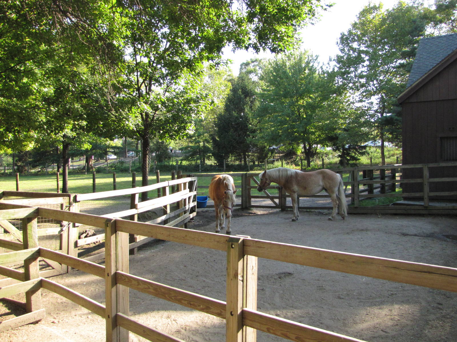 Queens Zoo 2010 - General view in Childrens Zoo