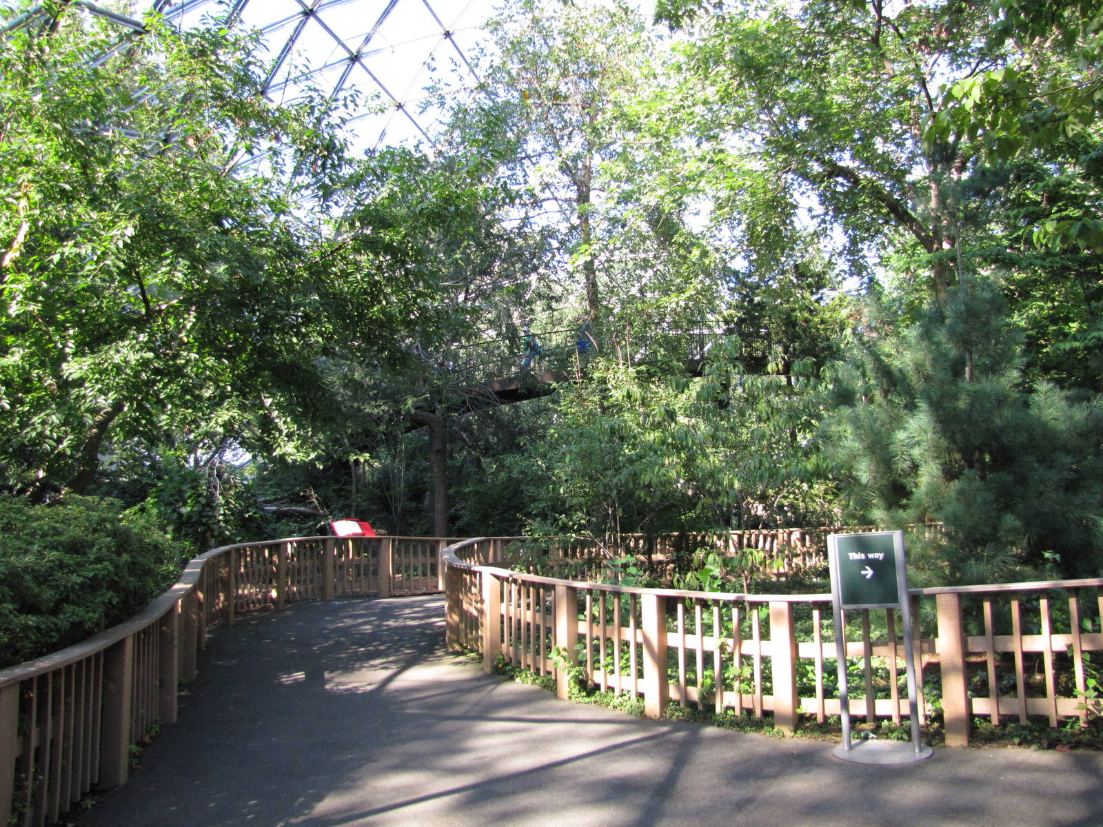 Queens Zoo 2010 - Inside Free-flight Aviary