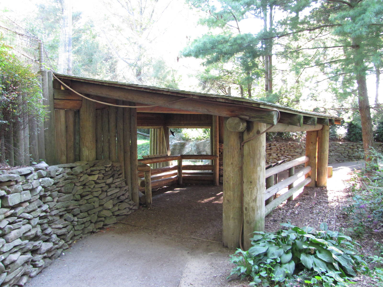 Queens Zoo 2010 - Viewing Hut at Cougar exhibit
