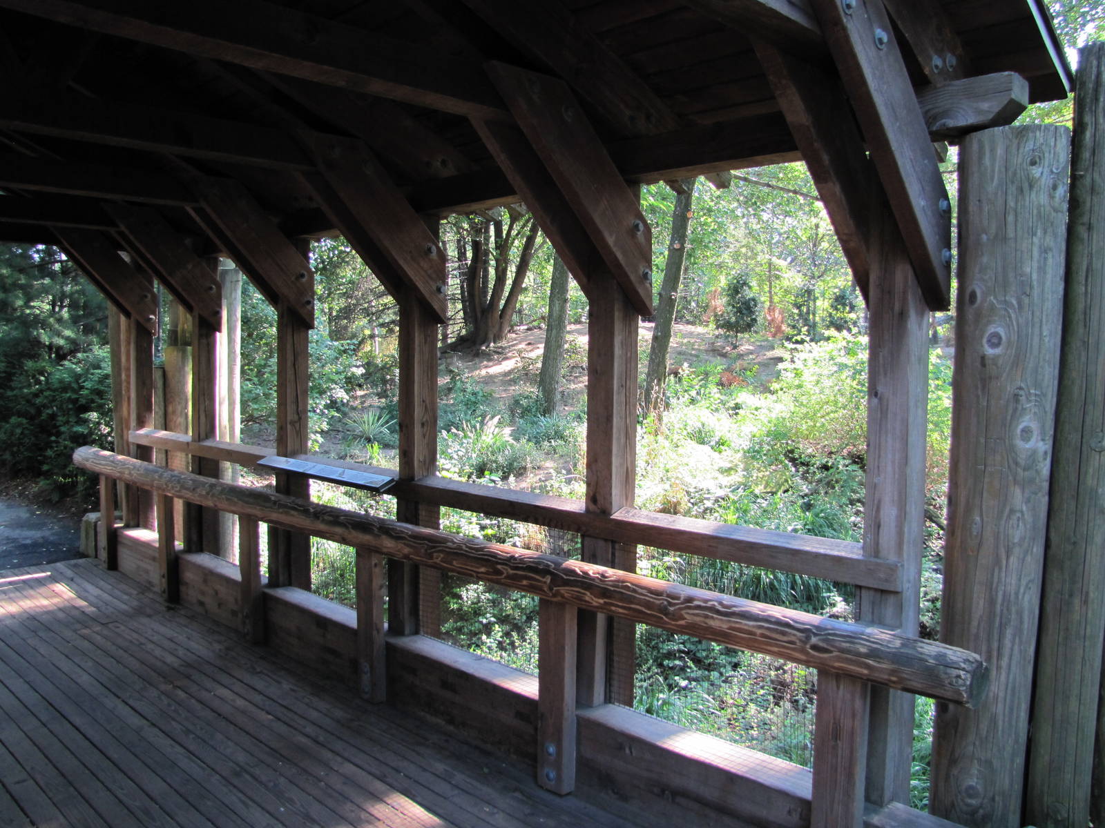 Queens Zoo 2010 - Viewing Point at Coyote enclosure