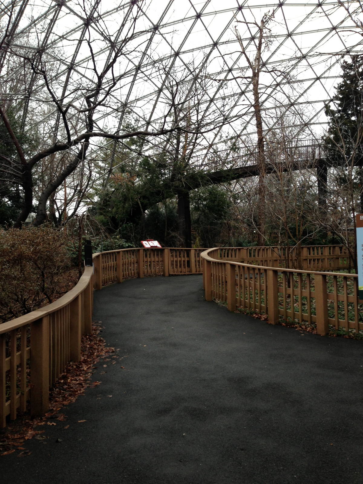 Queens Zoo- Aviary