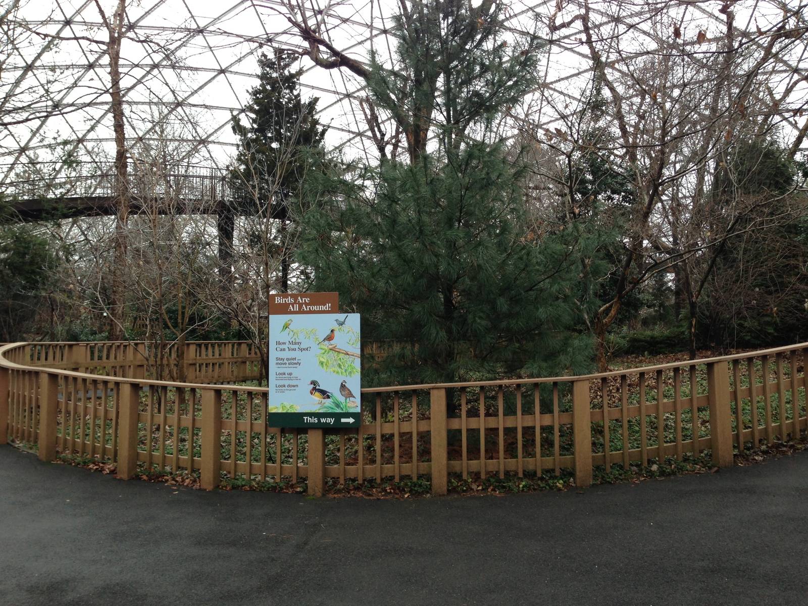 Queens Zoo- Aviary