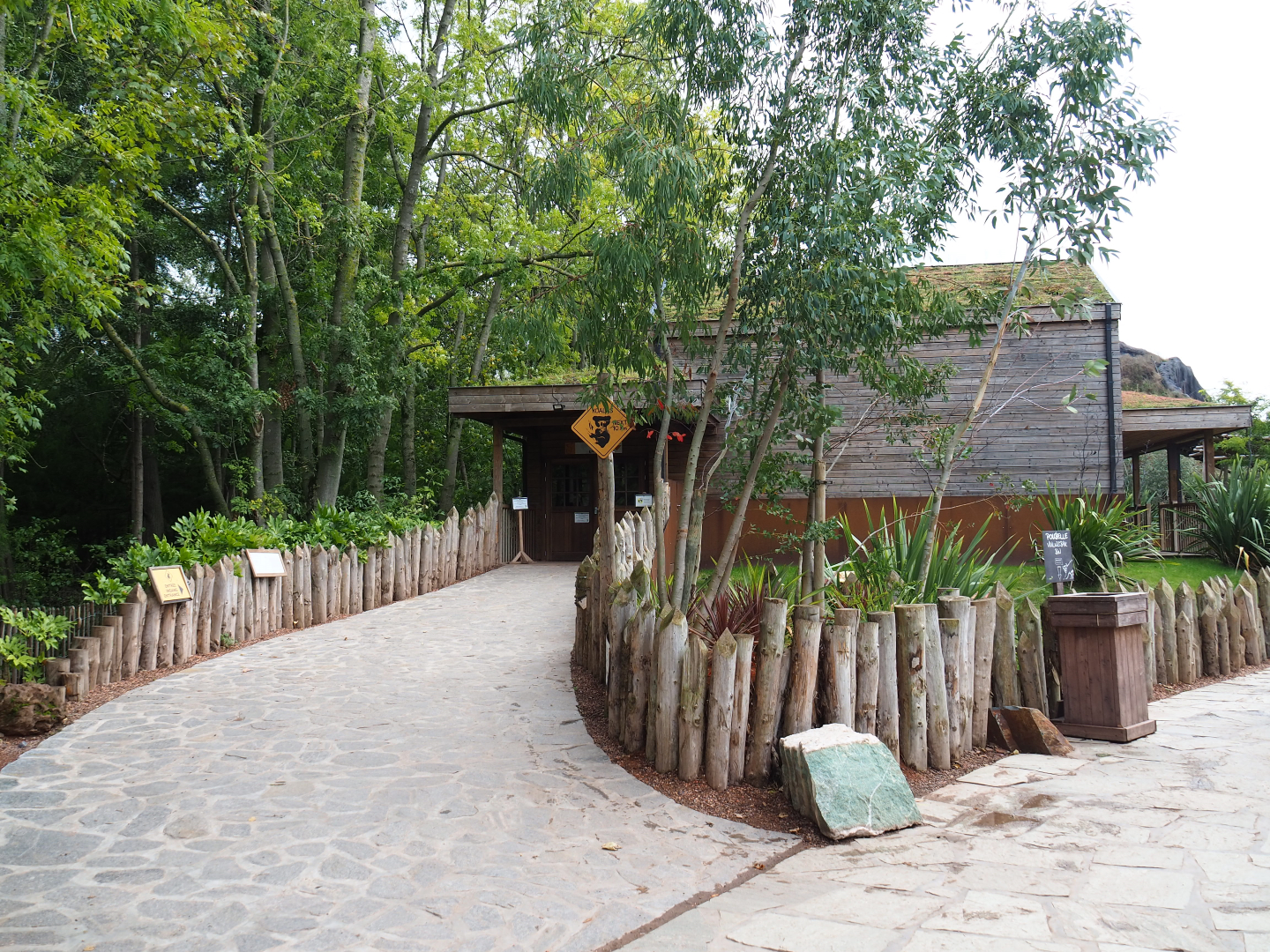 Queensland koala house, 2019-10-04