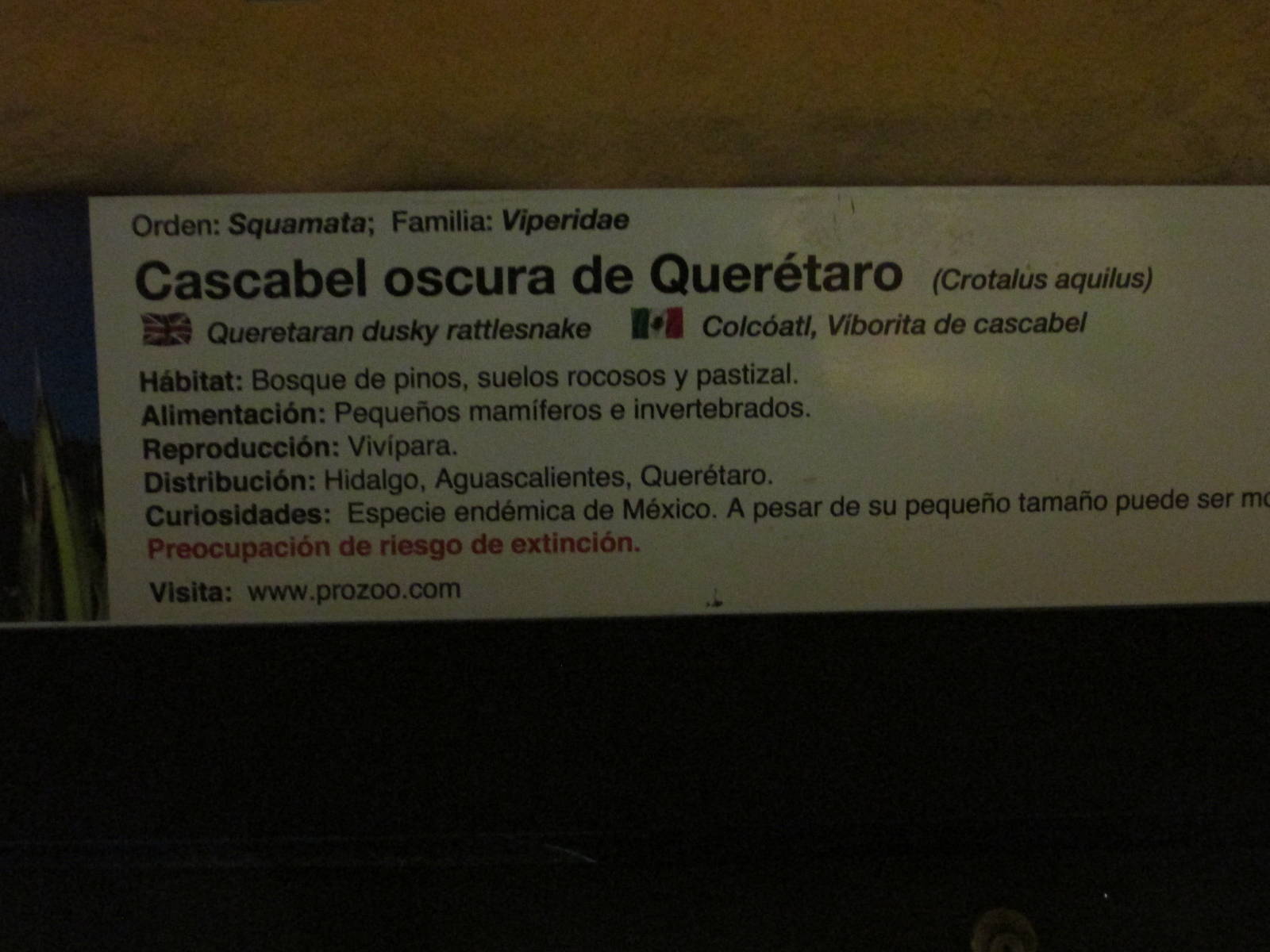 queretaro rattlesnake sign chapultepec zoo