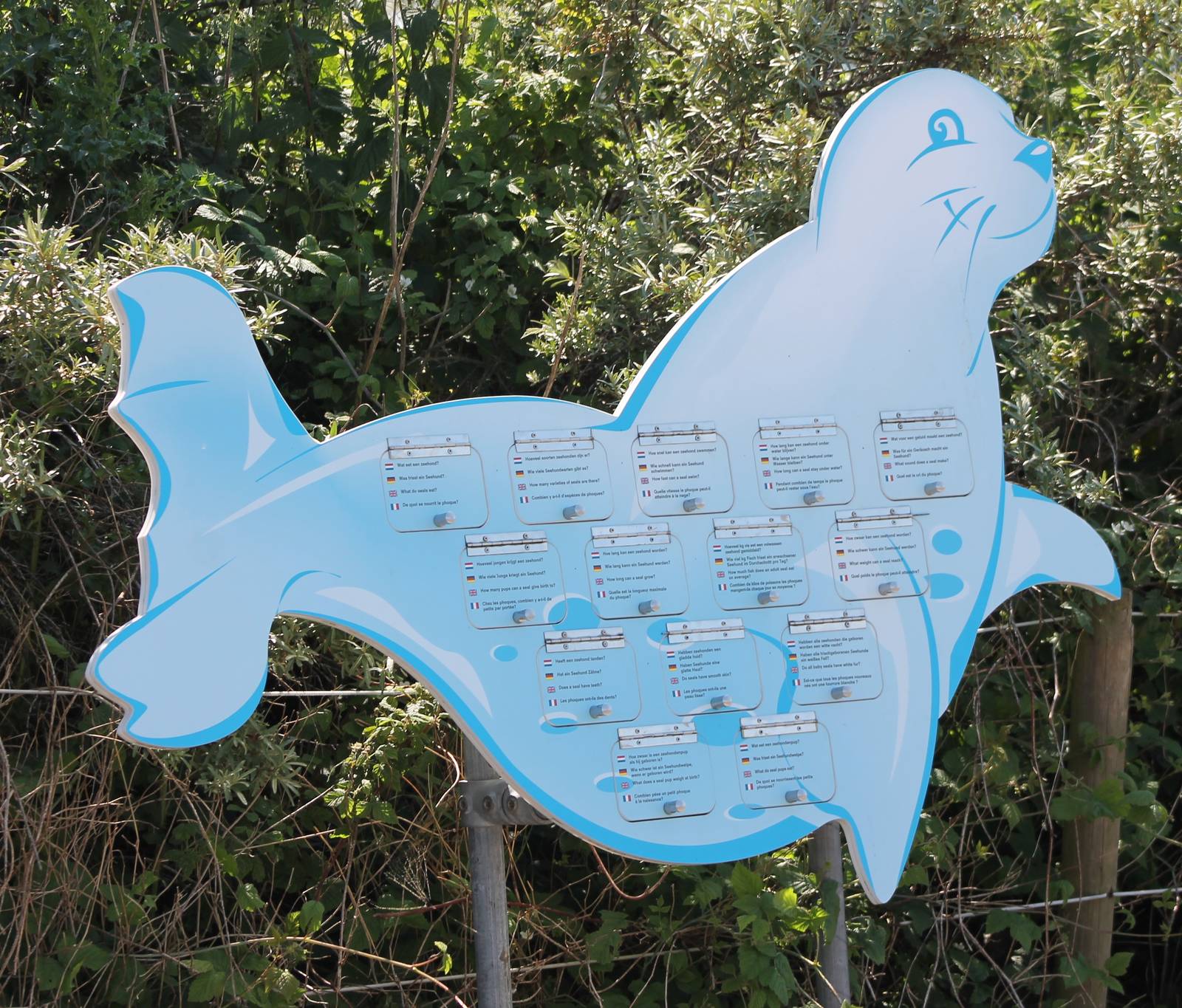 Question and answer seal